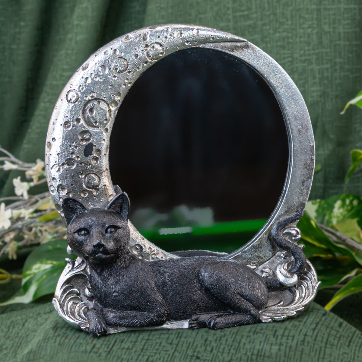 Cat on Moon Mirror