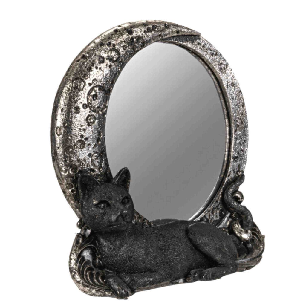 Cat on Moon Mirror