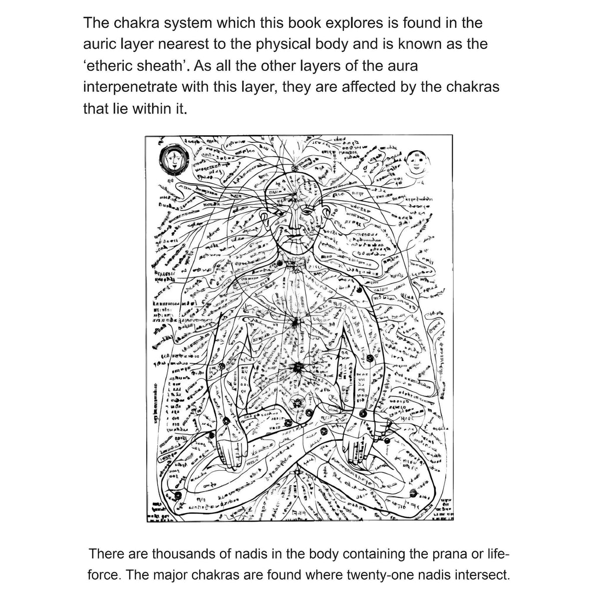 Chakra Workbook: Rebalance Your Body's Vital Energies
