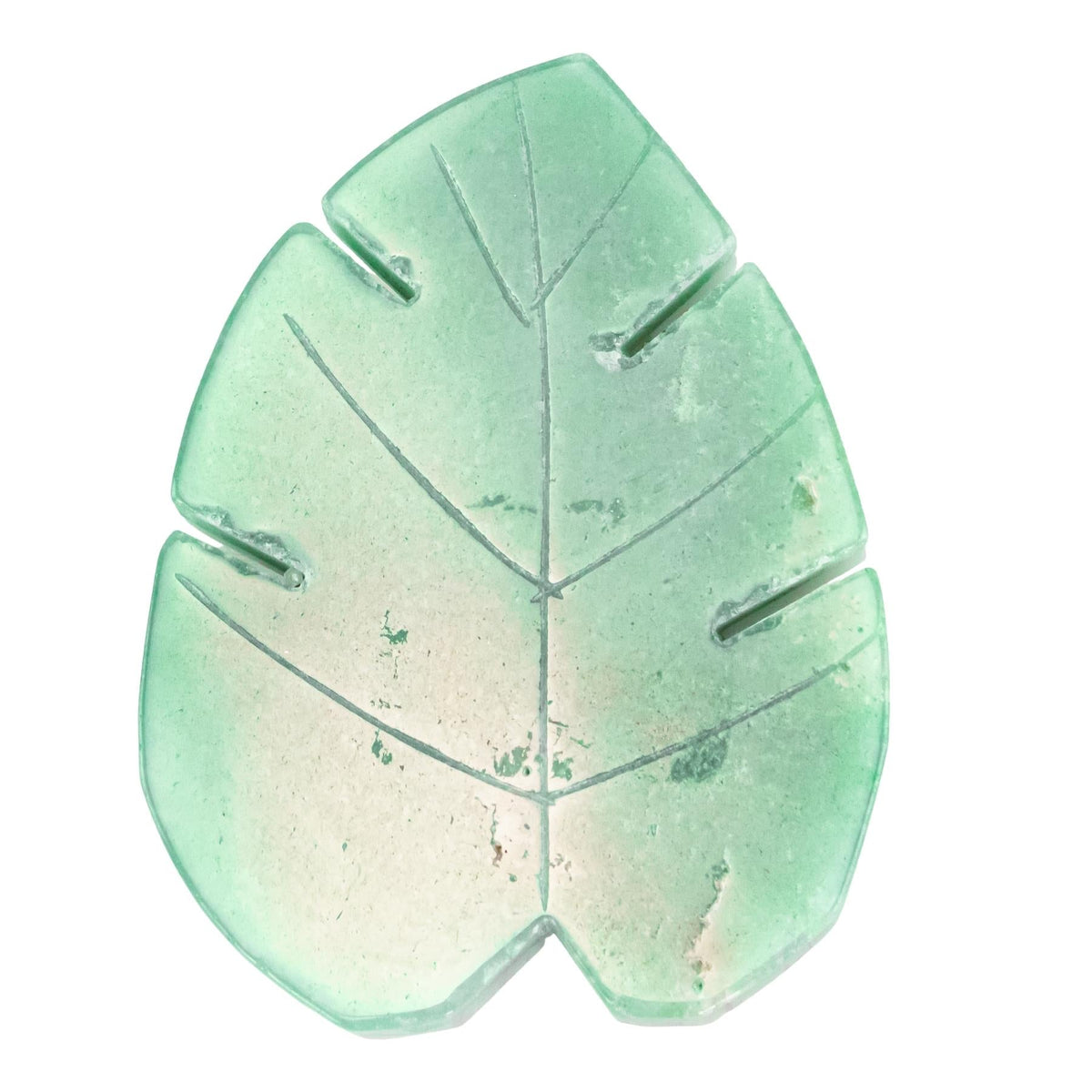 Crystal Monstera
