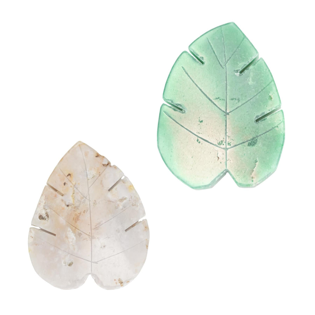 Crystal Monstera