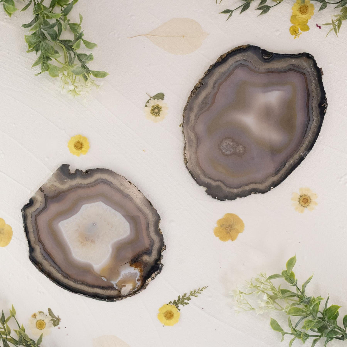 Large Natural Agate Slice