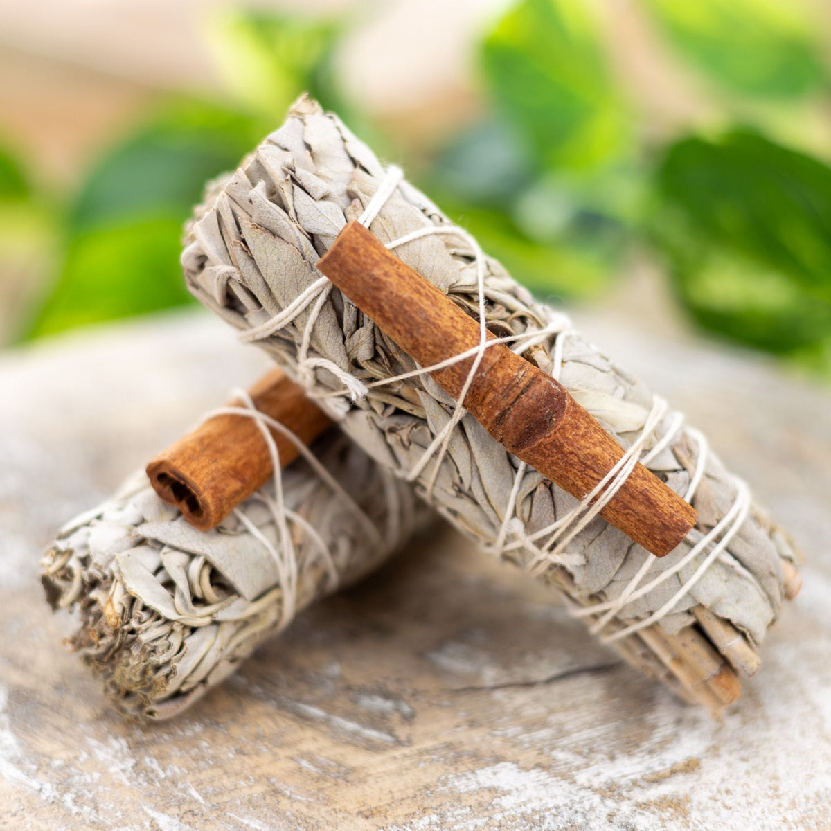 White Sage with Cinnamon Smudge Stick