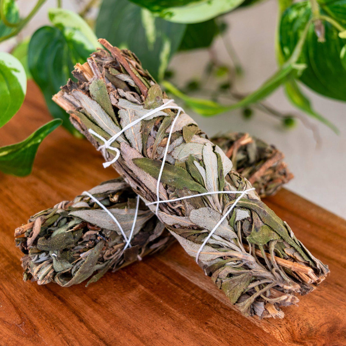Black Sage Smudge Stick